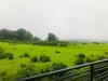 Villa Royal Meadows - Igatpuri Bungalow B