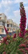 Villa Royal Meadows - Igatpuri Bungalow C