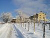 Agroturismo Azienda Agrituristica Calronche
