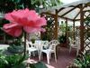 Albergo Hotel Garden Ristorante
