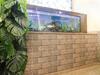 Hotel Oyo 67976 Jai Shree Inn