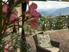 Bed & Breakfast Monti Del Sole
