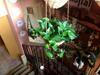 Bed & Breakfast Al Porretto