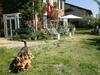 Bed & Breakfast Al Porretto