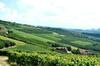 Bed & Breakfast Villa Bellavista Alba