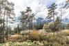 Dolomiti Mountains View Chalet R&r