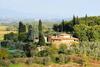 Villa Petrolo: B�ggina Country House