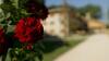 Hotel Ca' Muliner