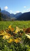 Hostal Stalut Das Puestines