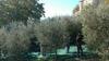 Agroturismo La Fortezza Alta
