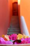 Bed & Breakfast Il Casale Dei Conti