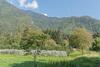 Apartamento Appartamento Adamello 15