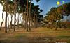Apartamento Acqua Marina Pineto Vacanza