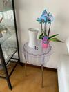 Bed & Breakfast Pampero & Catona House