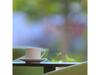 Hotel Sun Ocean - Vacation Stay 84266