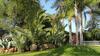 Palmeraie