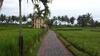 Manyi Village Ubud