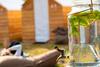 Surfana Beach Hostel Bed & Breakfast Vlieland