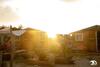 Surfana Beach Hostel Bed & Breakfast Vlieland