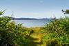 Beachfront Bliss - Cooks Beach Holiday Home