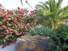 Apartamento Valena Mare