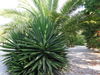 Apartamento Valena Mare
