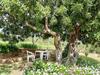 Cerro Do Lobo Villa Sleeps 8 With Pool Air Con And Wifi