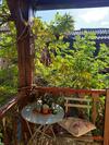 Historic And Elegant House In Romantic Surrounding