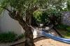 The Olive Grove Boutique Villas