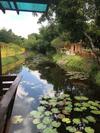 Hotel Srikij Garden Home Resort