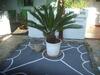 Hostal Skyros Panorama Studios