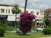 Bed & Breakfast Odessa Otel Avsallar
