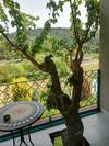 Hotel Naturla G�l Evi