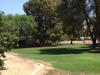 Roadrunner Club 321 Home