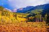 Apartamento Vail International 407