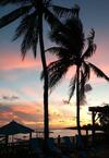 Hotel Conch Key Fishing Lodge & Marina