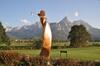 Hotel Alpen Residence