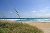 Portside 7 - 1 Bedroom 206 Inlet Way