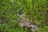 Cozy Jasper Cabin Walk To On-site Waterfall!