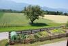 Apartamento Landhaus L�scher