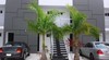 Apartamentos Anemona