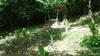 Hostal Guest House Baba Zoua
