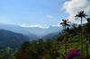 Hotel El Mirador Del Cocora