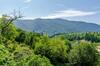 Villa Dalmatian Gem