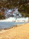 Istria Camp - Istria Holiday For 2