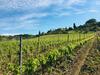 Agroturismo La Valle A Polvereto