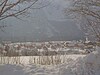 Modern Chalet In Obertraun With Terrace