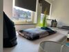 City Studio Apartment