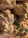 Le Pr� Des Bonrepaux