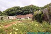 Dean Court Garden